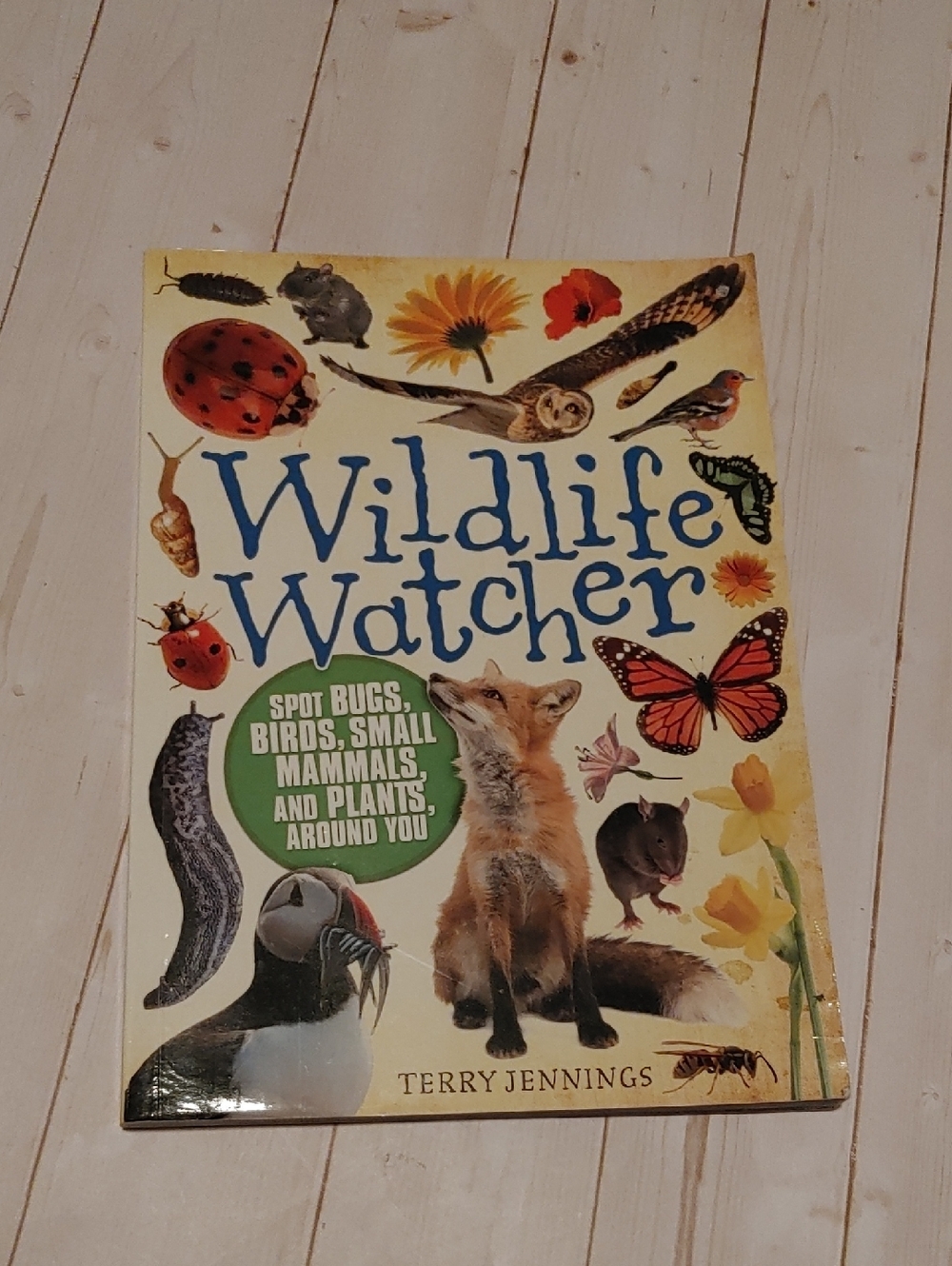 Wildlife Catcher Spot Bugs, Birds, Small Animals Kids Book Terry Jennings